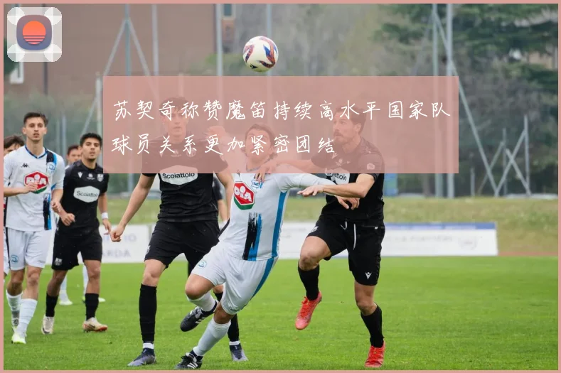 苏契奇称赞魔笛持续高水平国家队球员关系更加紧密团结