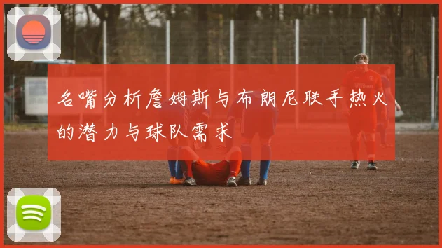 名嘴分析詹姆斯与布朗尼联手热火的潜力与球队需求