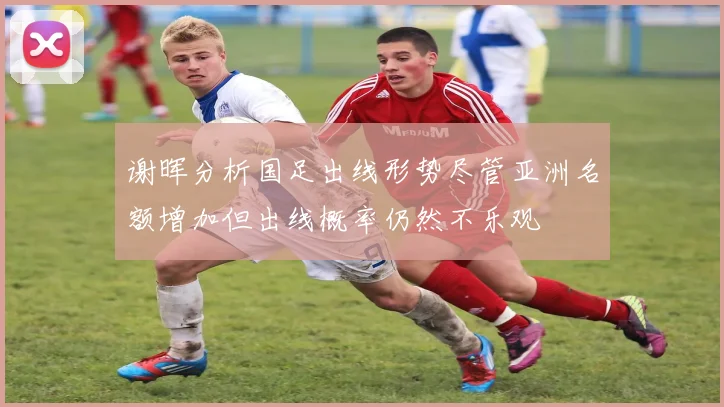 谢晖分析国足出线形势尽管亚洲名额增加但出线概率仍然不乐观